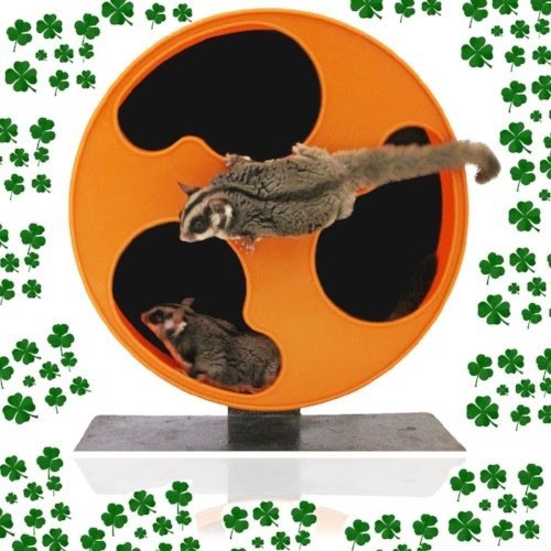 Rueda de ejercicio Silent Wheel para petauros y pequeñas mascotas color Negro y Naranja, , large image number null