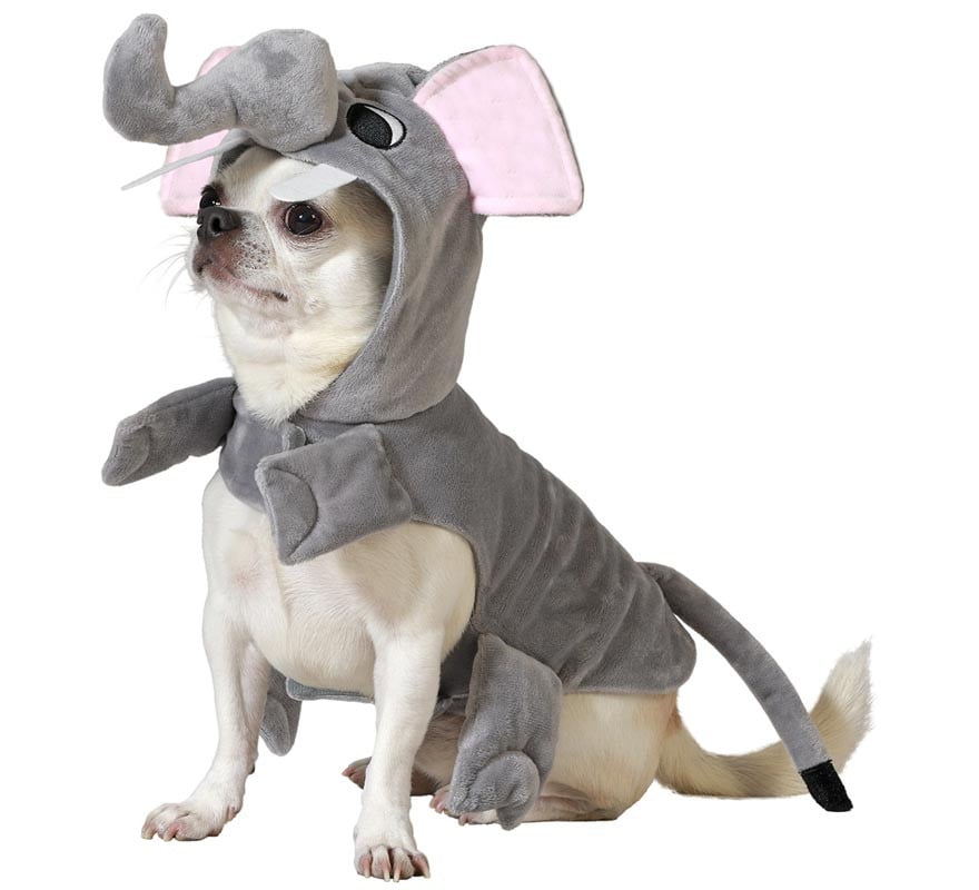 Disfraz de Elefante para perro