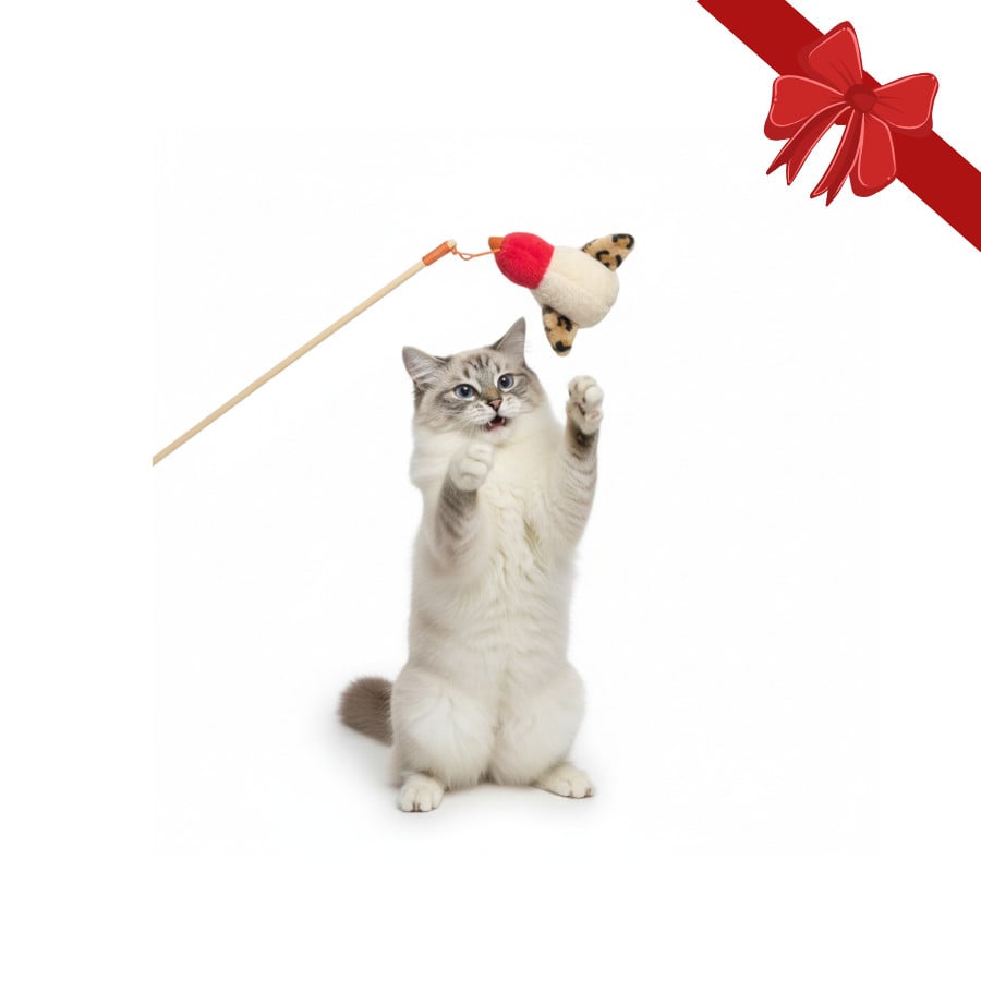 Wonder Christmas Juguete Caña Navideña para gatos