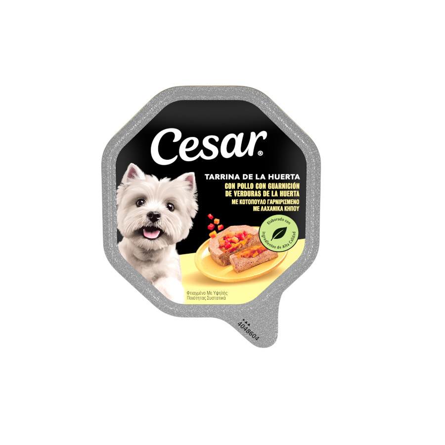 150 g Cesar Recetas de la huerta Tarrina en Paté y Gelatina para Perros