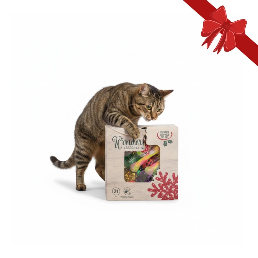 Wonder Christmas Caja de Juguetes Sorpresa Navideños para gatos