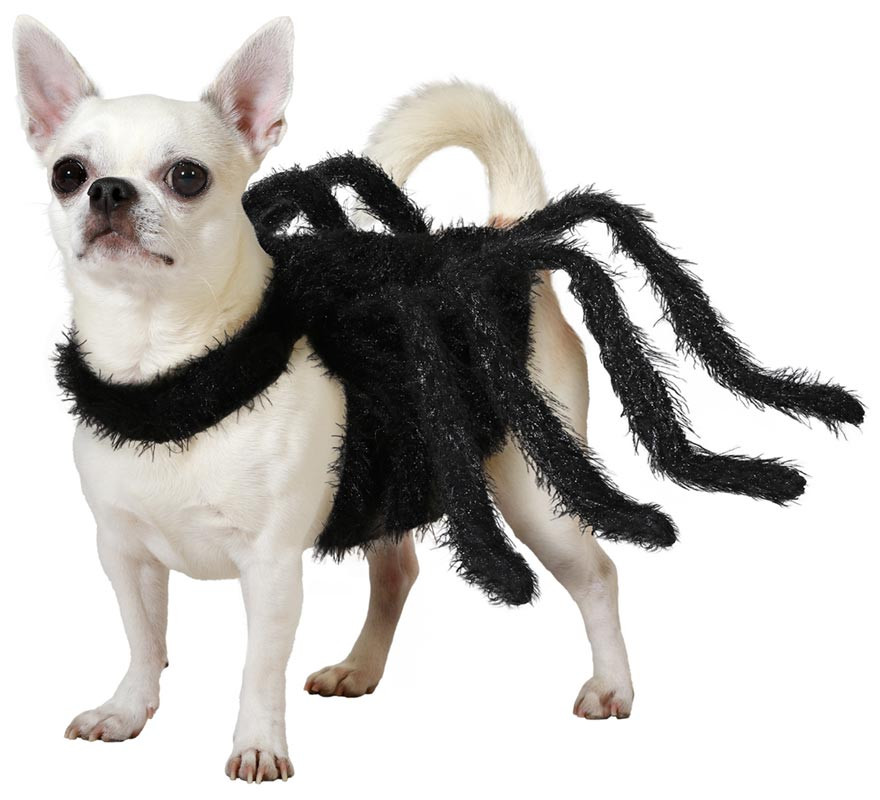 Disfraz de Araña Tarántula peluda para perro