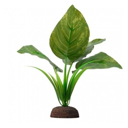 Fluval Plant Varigated Lizard’s 15cm color Verde