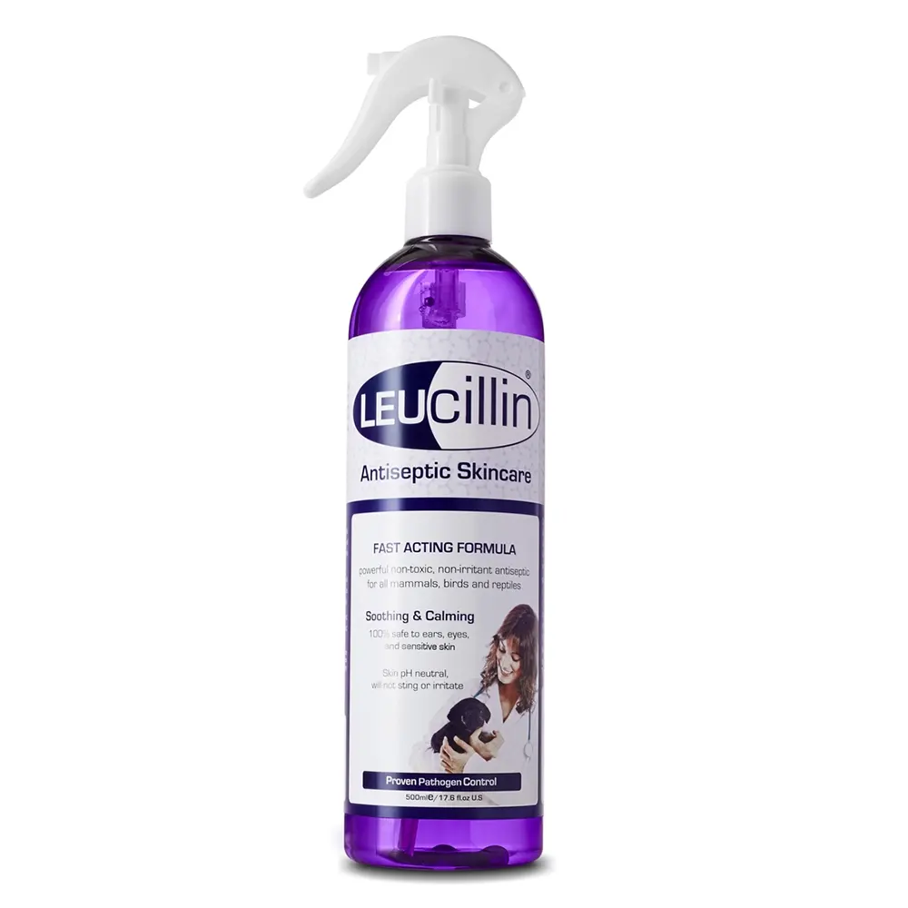 LEUcillin spray desinfectante y antiséptico de uso tópico Chemical Ibérica