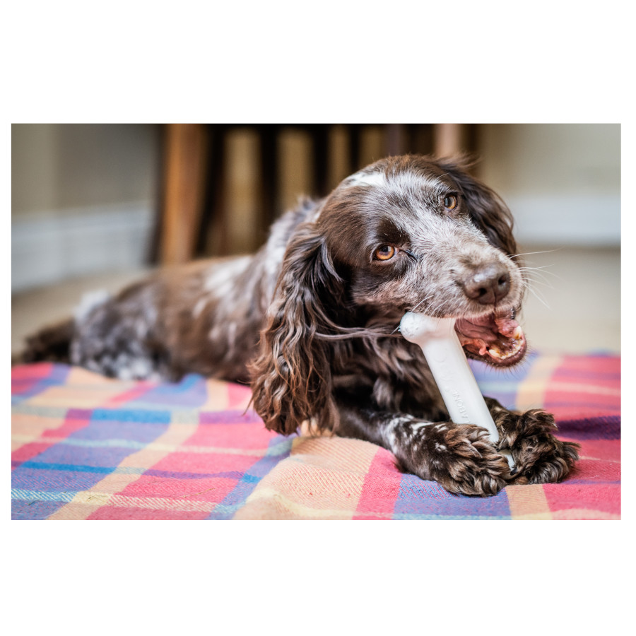 Nylabone Extreme Chew Pollo Hueso Mordedor para perros