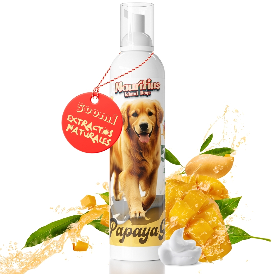 Champú en Seco 500ML Espuma de Mango y Papaya Lavado Seco Sin Enjuague con Extractos Naturales