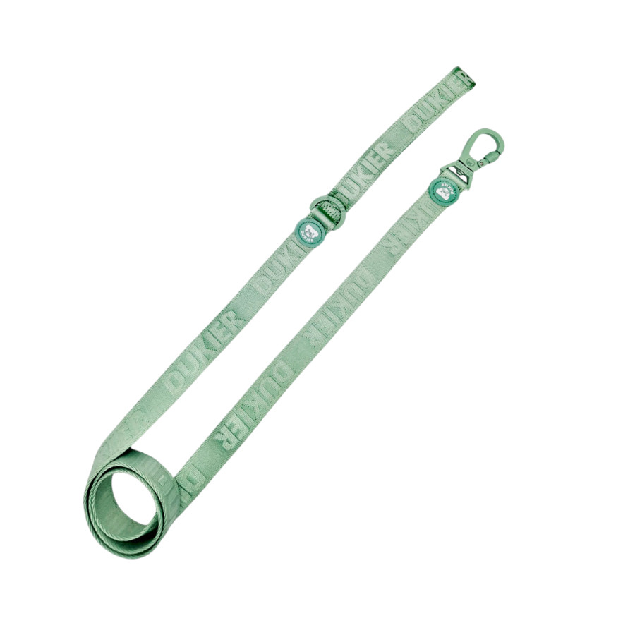 Dukier Correa Color Verde para perros