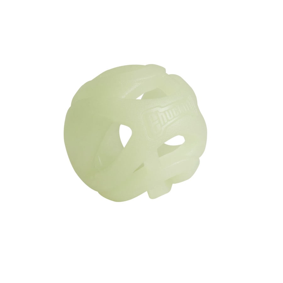 Chuckit! Pelota de Goma Fluorescente para perros