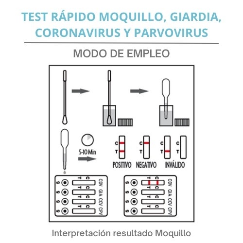 Lab4pets test rápido moquillo, giardia, coronavirus y parvovirus para perros, , large image number null