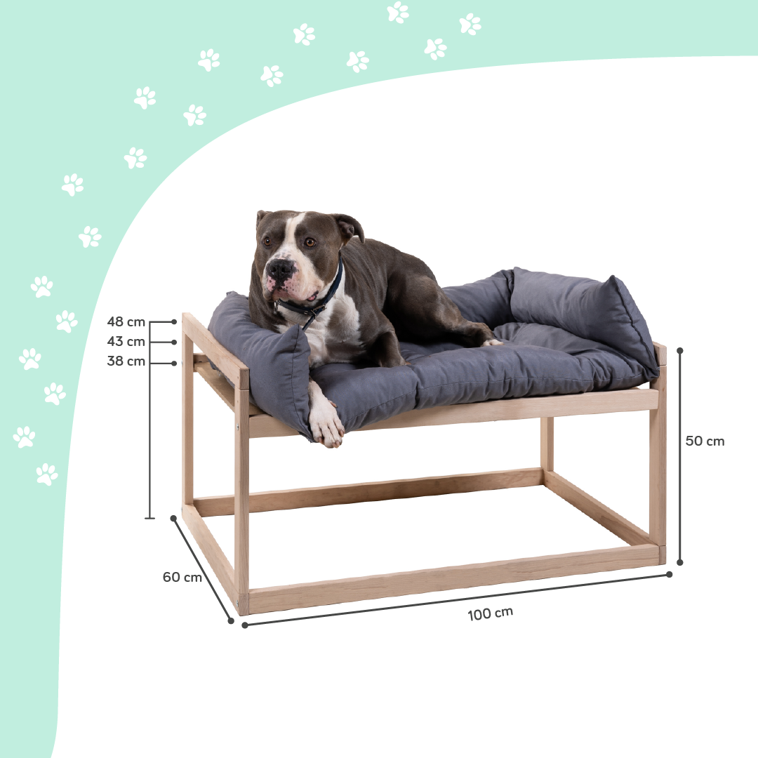 Cama elevada para perro y gato Colecho junto a tu