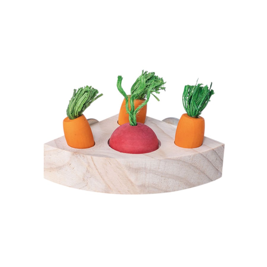 Quapas Rompecabezas Triangular Snacks Juguete para roedores