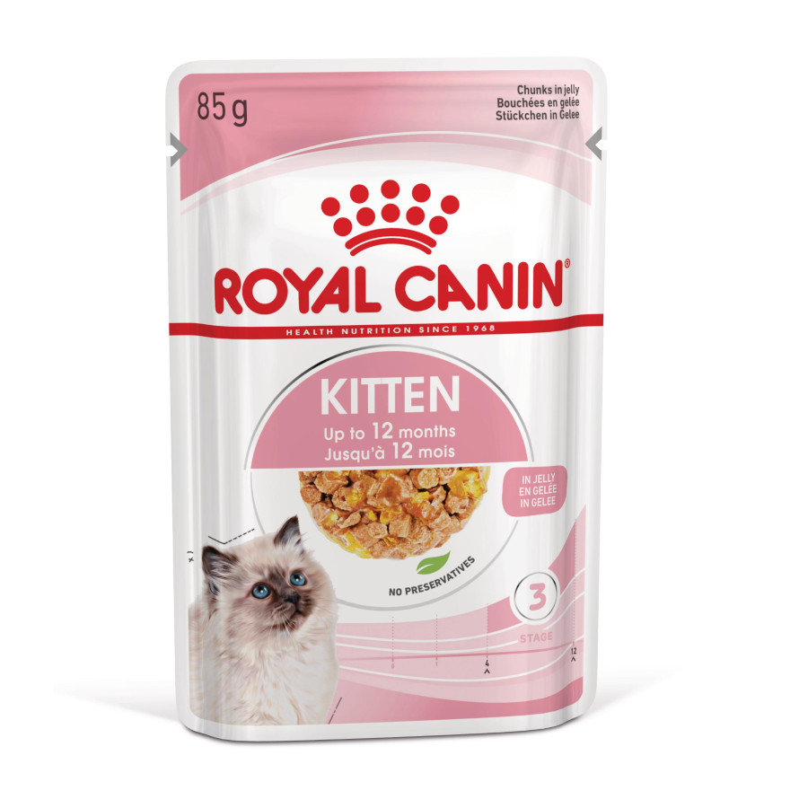 Royal Canin Kitten comida húmeda en gelatina sobre para gatitos