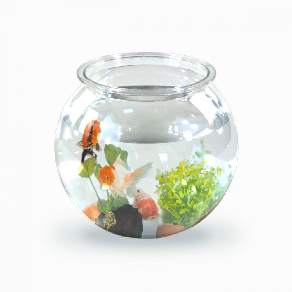 Pecera transparente 4L PET ecológico Peces pequeños Fácil limpieza Jardín acuático Nemo