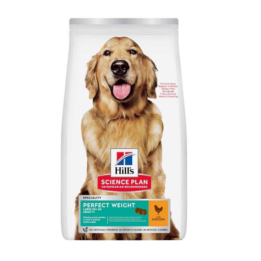 2 x 12 kg Hill’s Science Plan Perfect Weight Adult Large Pollo pienso para perros ¡Pack ahorro!