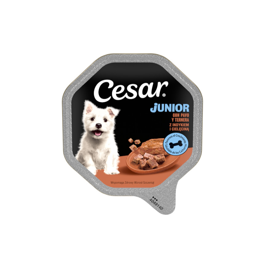 150 g Cesar Pavo y Ternera Tarrina en Gelatina para Cachorros