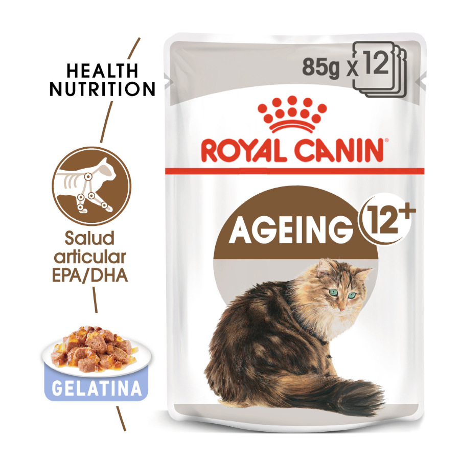 Royal Canin Senior +12 gelatina sobres para gatos  , , large image number null
