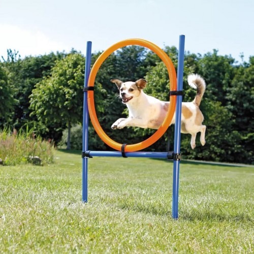 Aro de agilidad para perros color Azul y Naranja