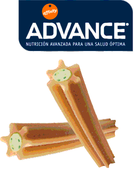 advance dental care stick para perros