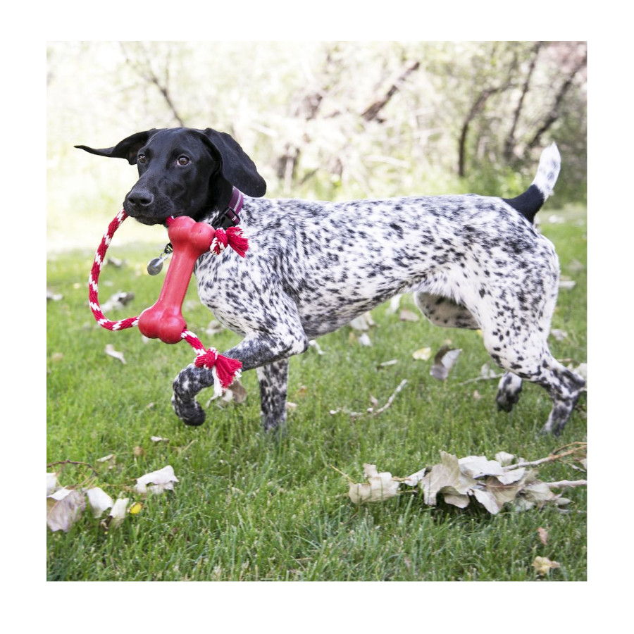 Kong Goodie Bone Hueso con cuerda
