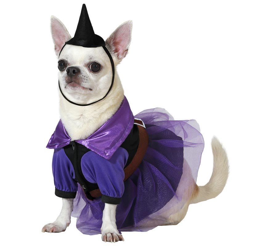 Disfraz de Bruja morada con sombrero para perro