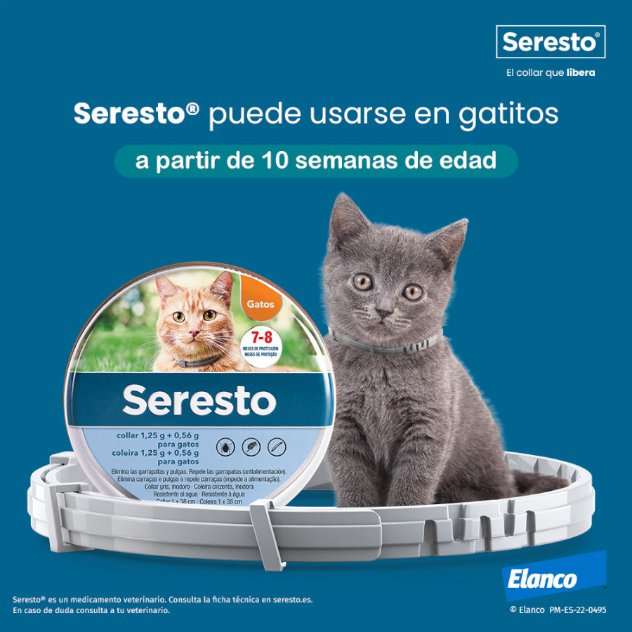 Bayer Seresto Collar Antiparasitario para gatos Adultos, , large image number null