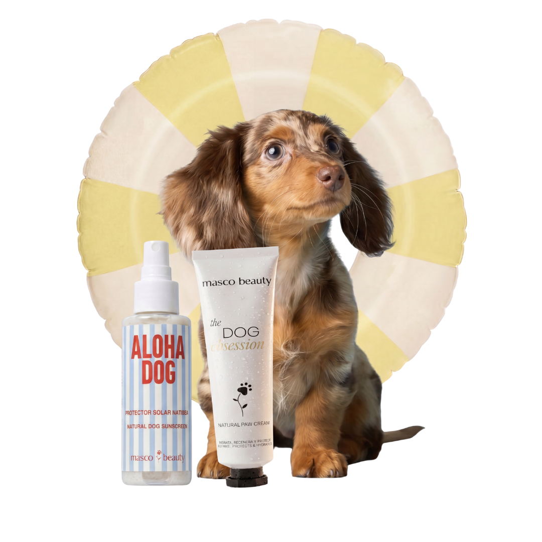 Pack Verano Patas y Sol para perros · Crema Protectora de Almohadillas + Spray Solar SPF 30 · Protección frente al asfalto caliente y las quemaduras