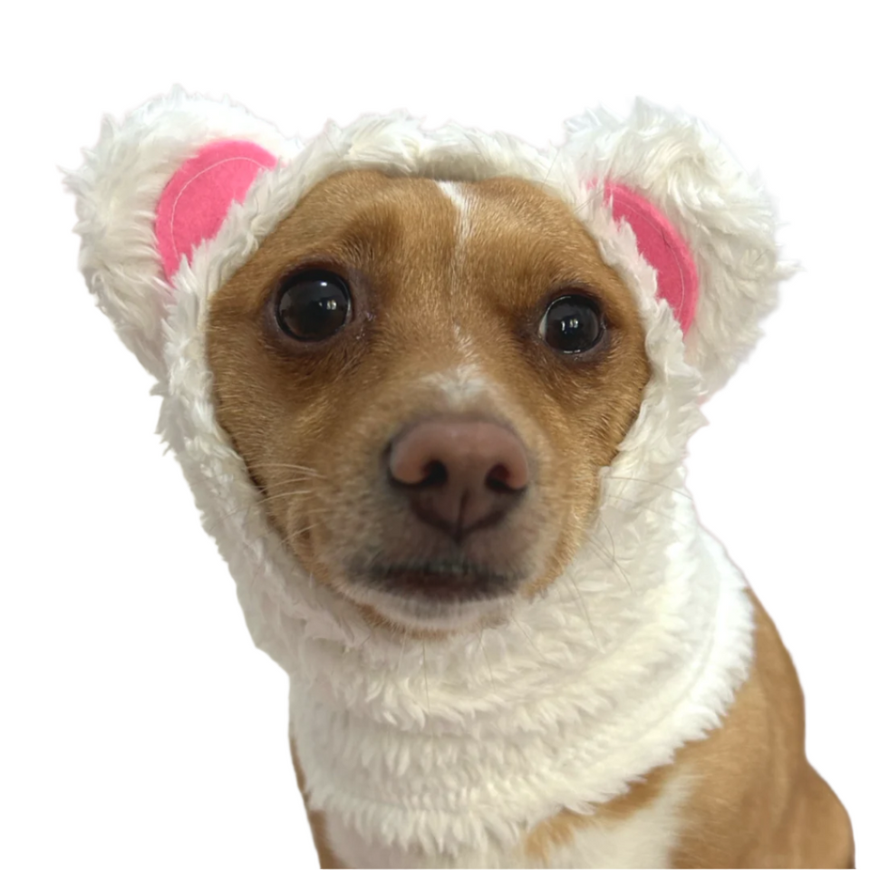 Gorro  bufanda para perros – Oso polar