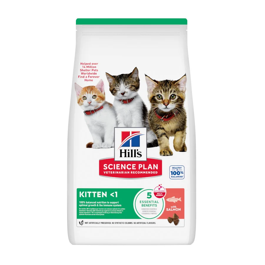 Hill's Science Plan Pienso Salmón para gatitos