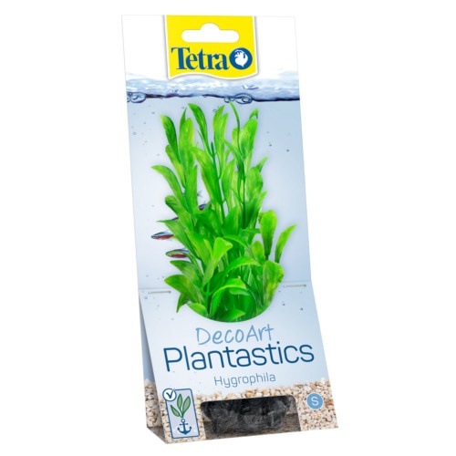 Tetra Hygrophi planta decorativa para acuario image number null