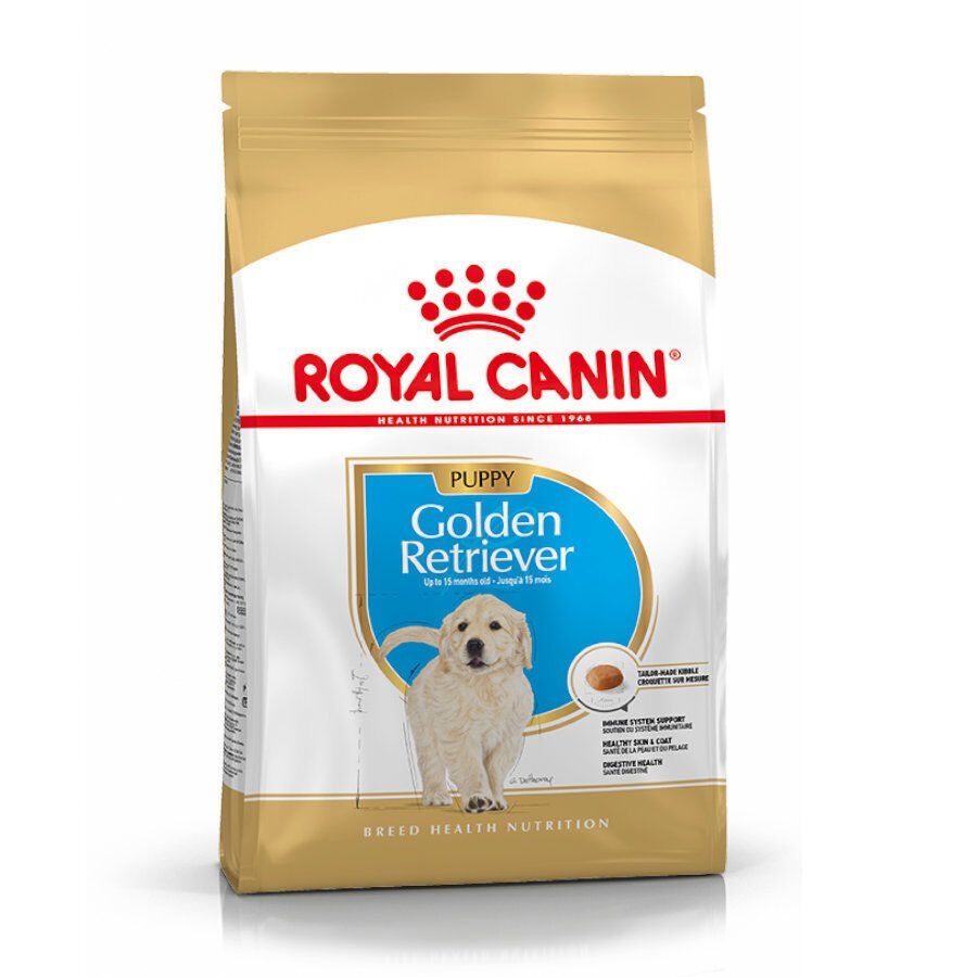 Royal Canin Puppy Golden Retriever pienso para perros