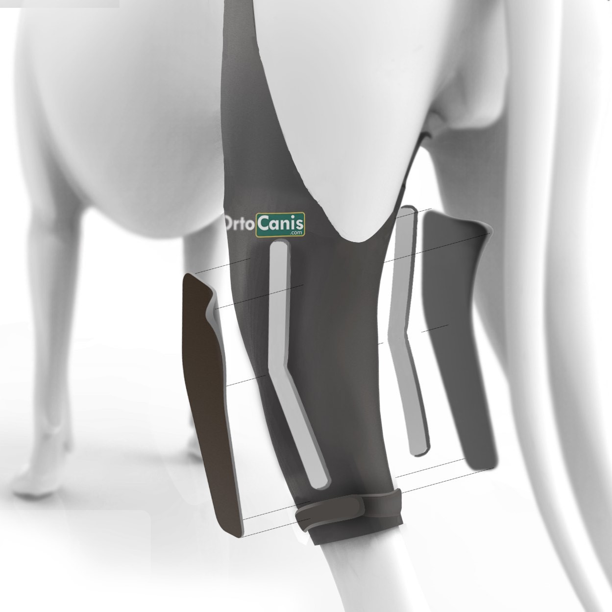 Inmovilizador de Rodilla derecha para Perros con Rotura de Ligamentos, Luxación de Rótula