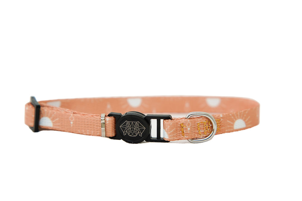 Collar de Gato SUNNY DAYS 1cm