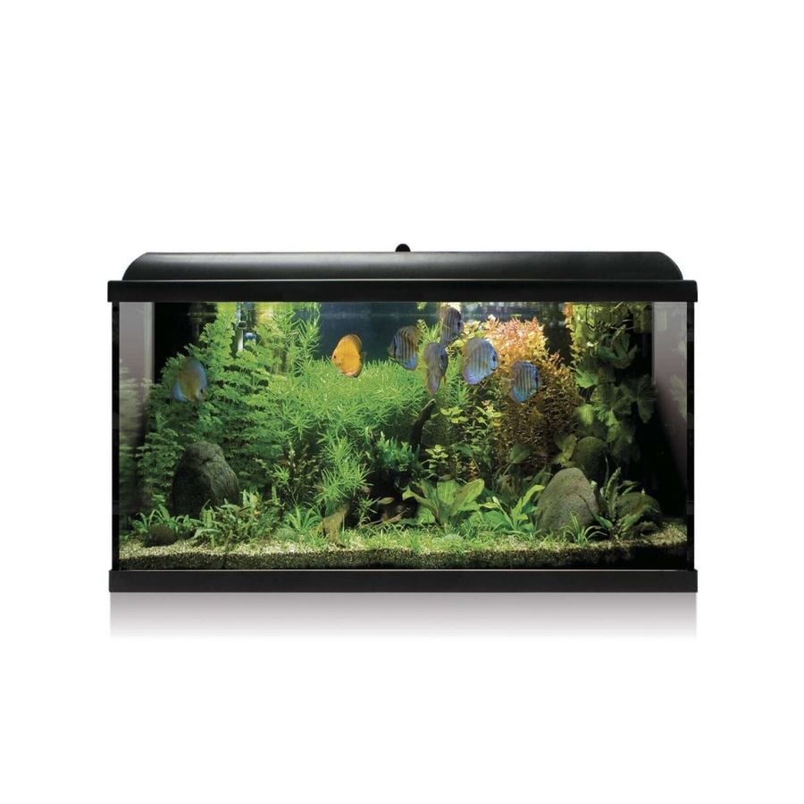 Kit AQUA-LED PRO  100 NEGRO con filtro interiork47,2×30,9x80cm