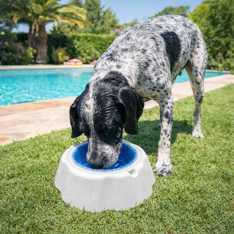Summer Vibes Bowl Refrescante Comedero y Bebedero para perros