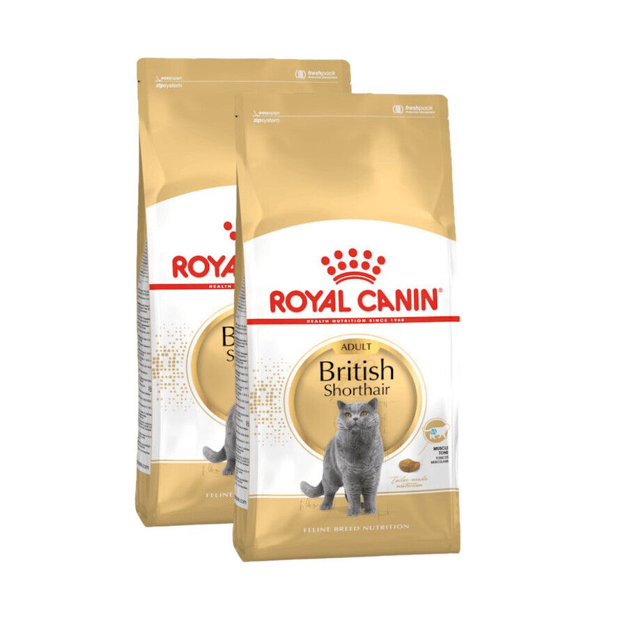 2 x 10 kg Royal Canin Adult British Shorthair pienso para gatos ¡Pack ahorro!
