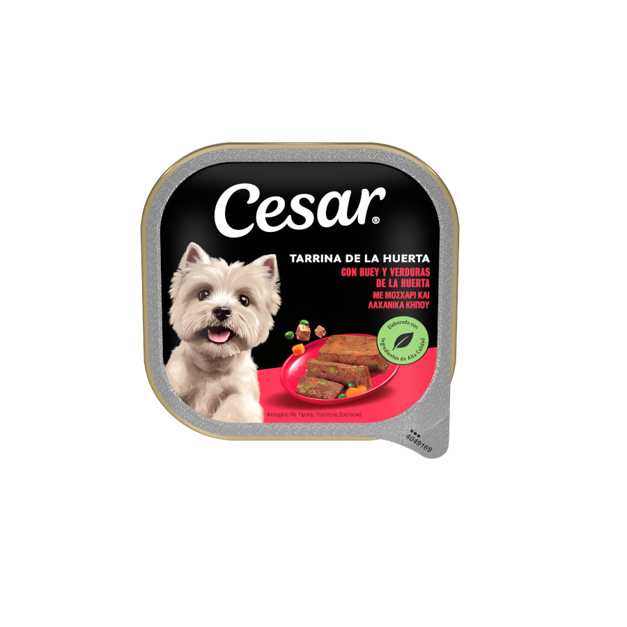 12 tarrinas x 300 g Cesar Buey y Verduras Tarrina en Gelatina para Perros ¡Pack ahorro!