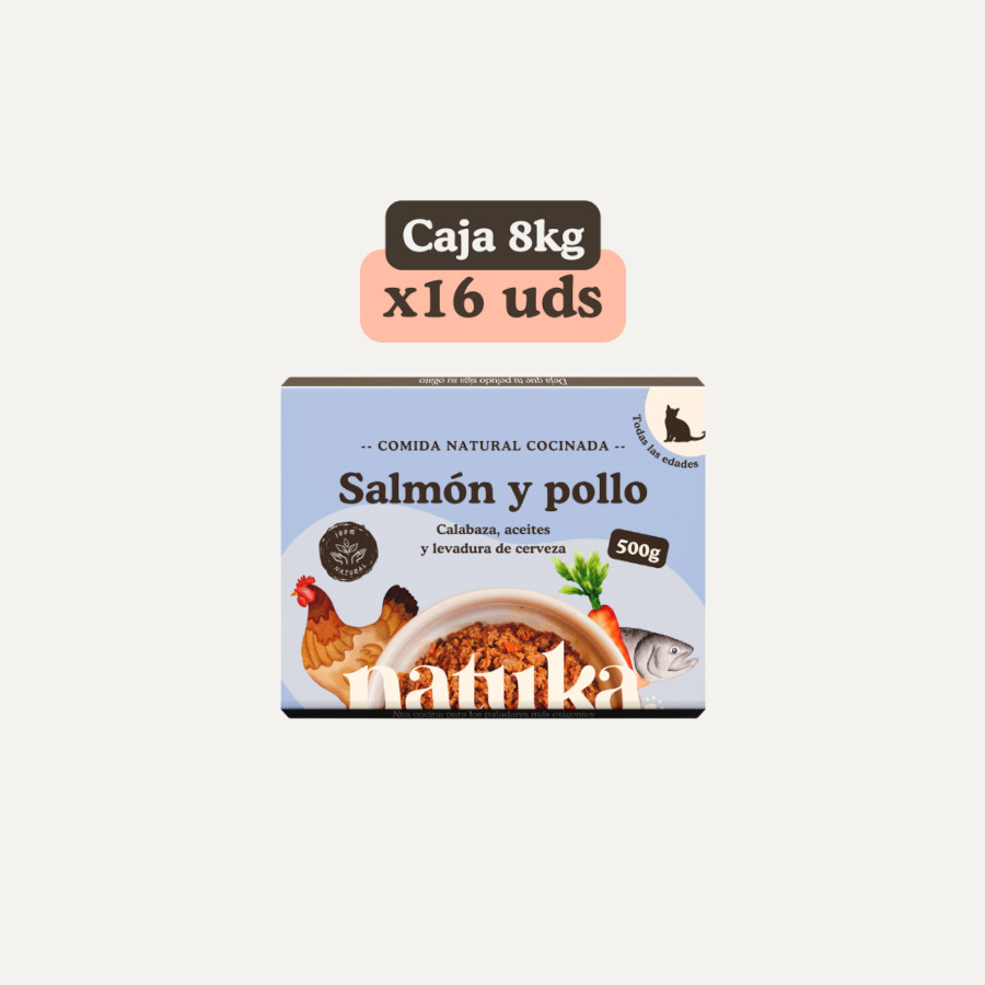 Comida para gatos. Menú cocinado para gato de pollo y salmón