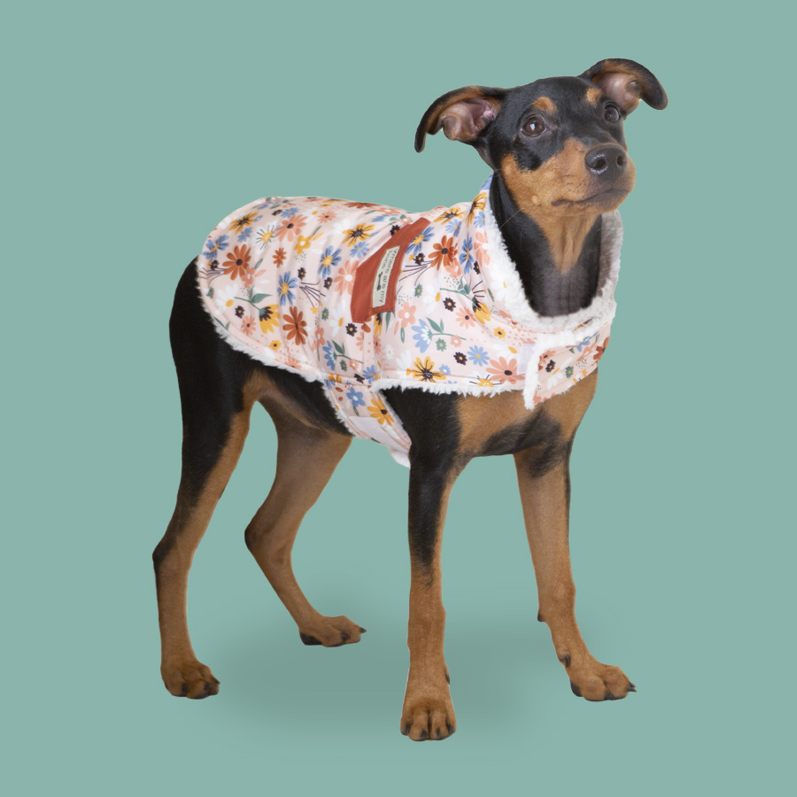 Outech abrigo de flores para perros