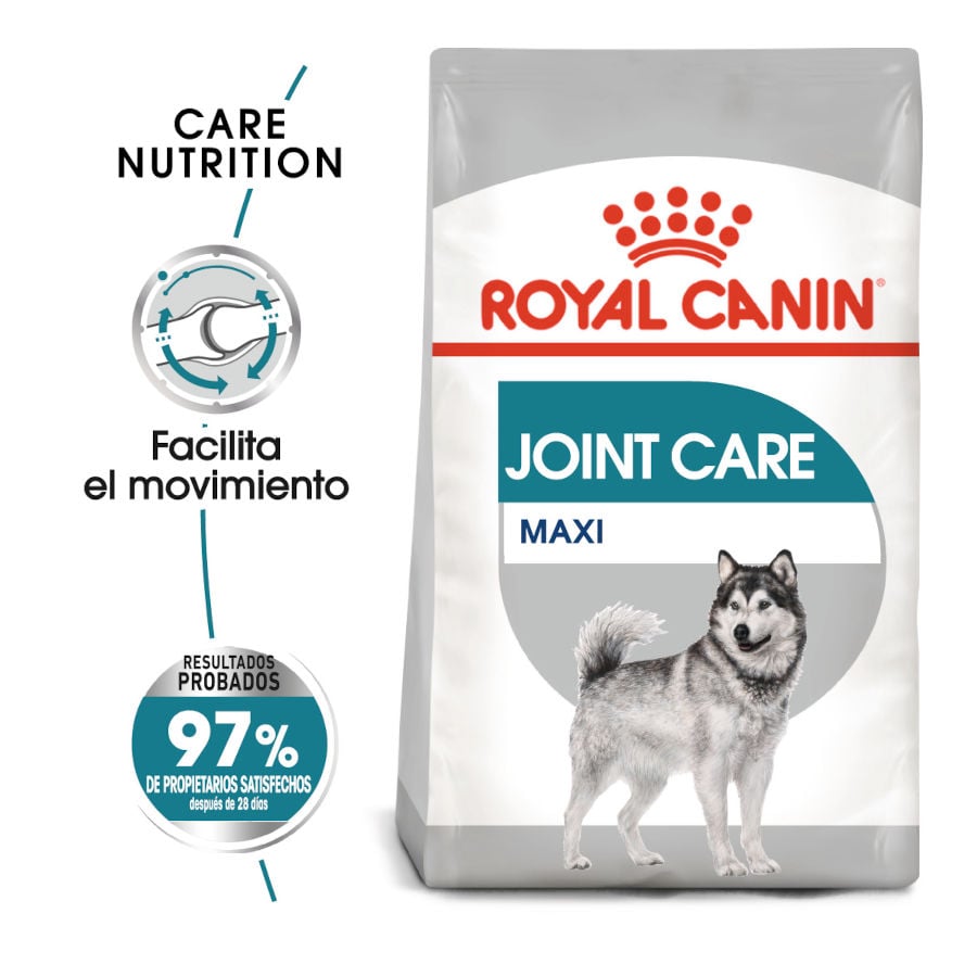 Imagen de Royal Canin Maxi Joint Care Pienso Perro Adulto Grande con Sensibilidad Articular