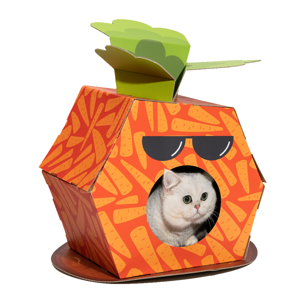FOFOS | Caja de Cartón Zanahoria con Panel Rascador – Para Gato