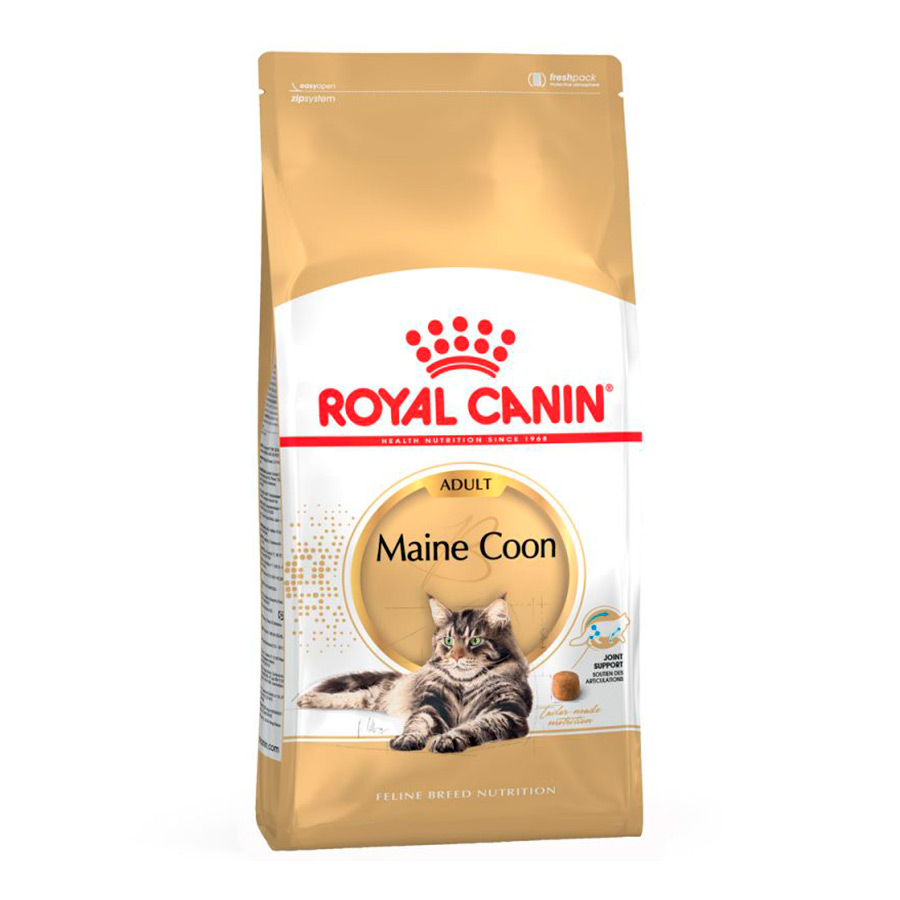 Royal Canin Adult Maine Coon pienso para gatos