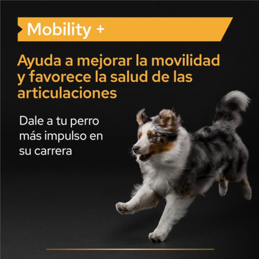 60 g Pro Plan Mobility+ Suplemento para perros