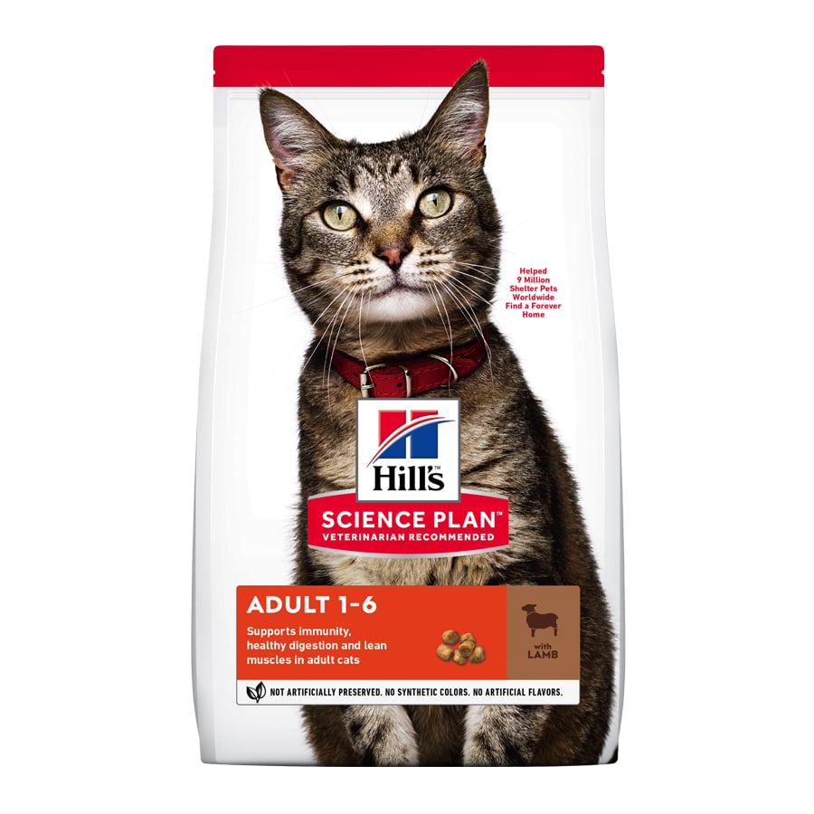 Hill's Adult Science Plan Cordero pienso para gatos, , large image number null