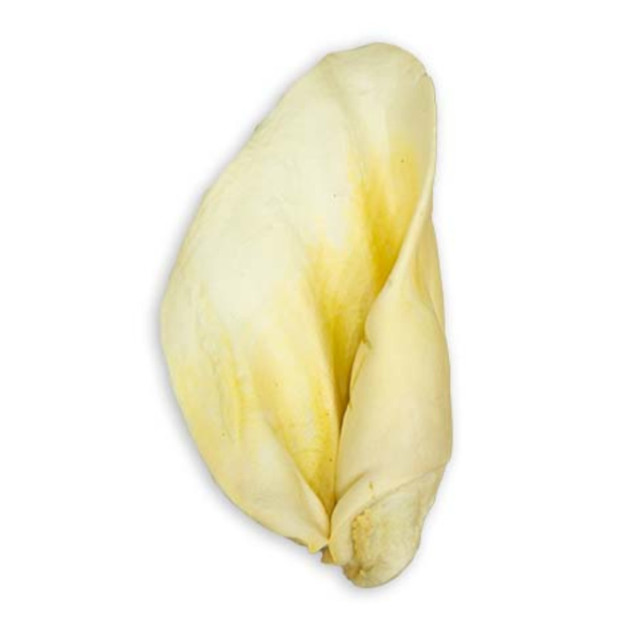 4 uds. Natureats Oreja de Vacuno Blanqueada para perros ¡Pack Ahorro!