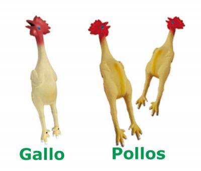 Gallo y pollo de latex para perros