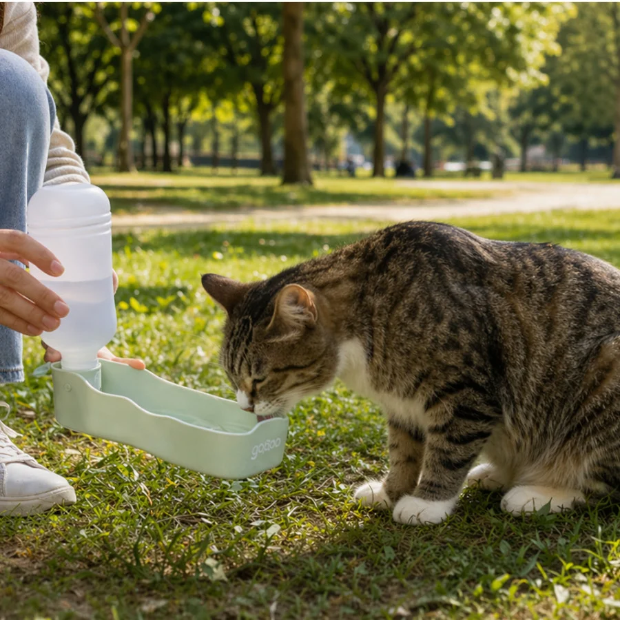 Gotoo Botella Bebedero Portátil de Plástico Verde para perros y gatos