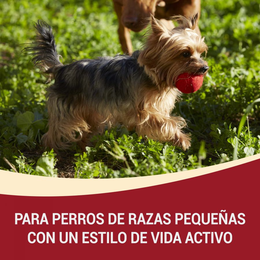 Purina One Mini Active Pollo pienso para perros, , large image number null