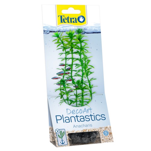 Tetra Anachari planta decorativa para acuario image number null