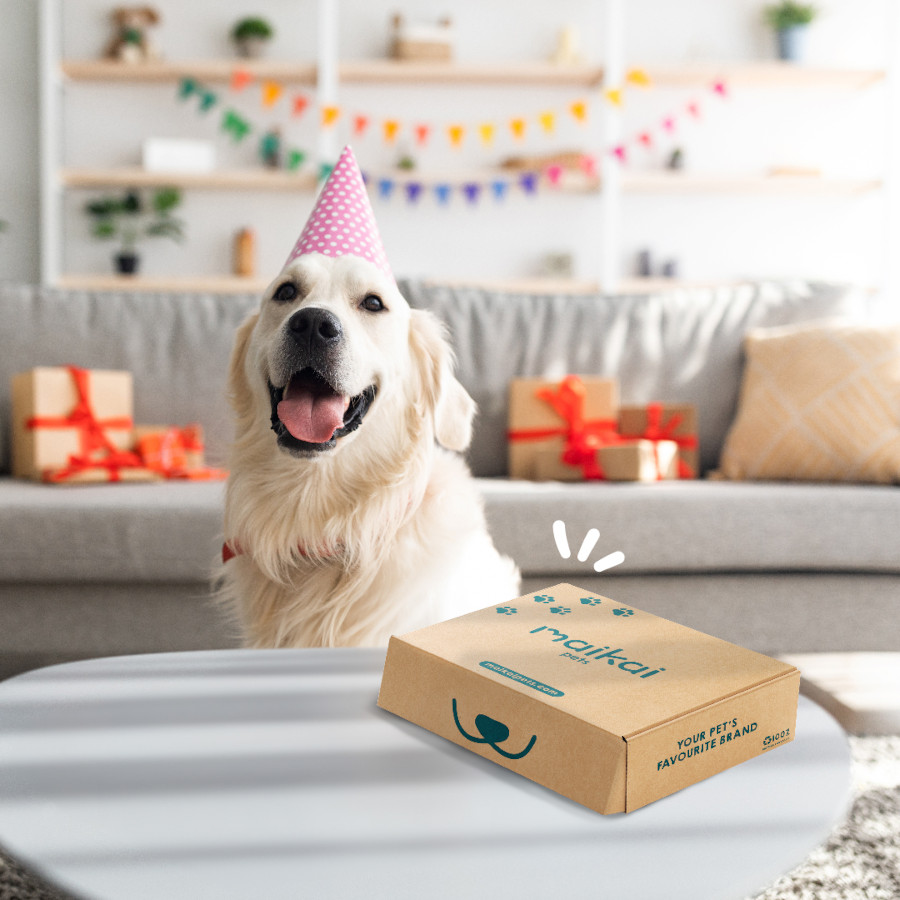 Pack De Snacks Naturales Para Perro – Asta De Ciervo, Nervio De Toro, Oreja De Cerdo Y Más, Caja Regalo