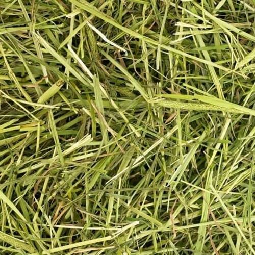 Heno Timothy Readigrass sabor Natural, , large image number null